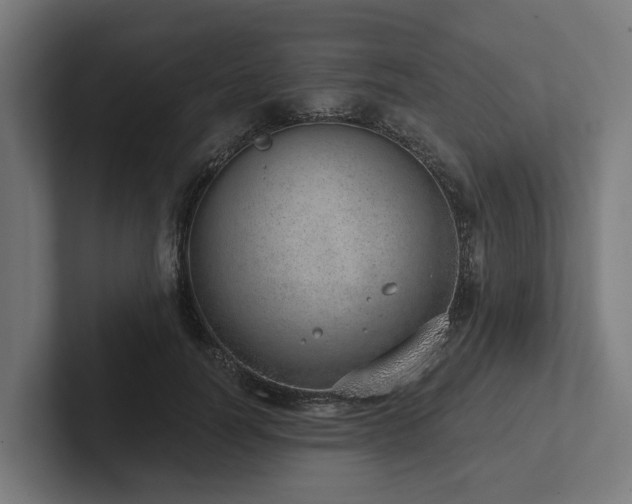 X0000102360746200808011452