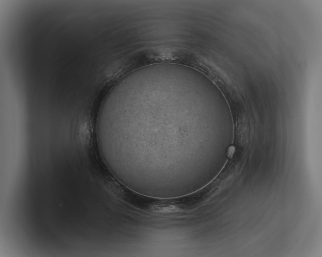 X0000102360747200808011452