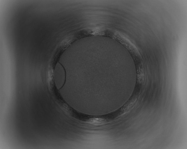 X0000102360748200808011452