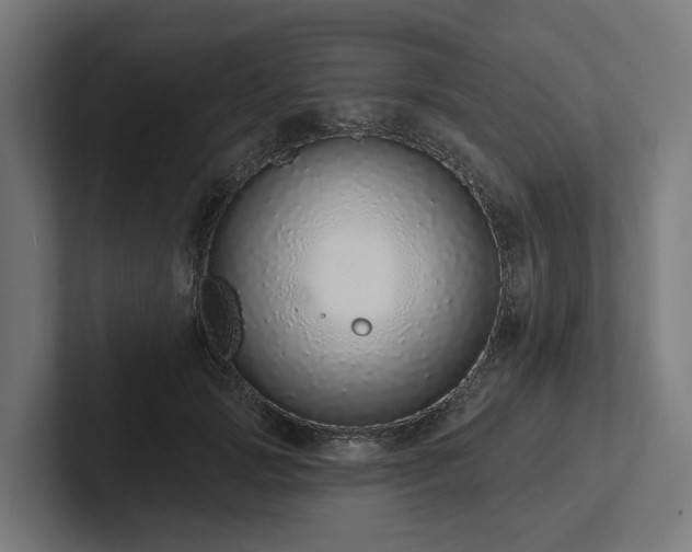 X0000102360749200808011452