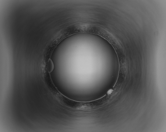X0000102360750200808011452
