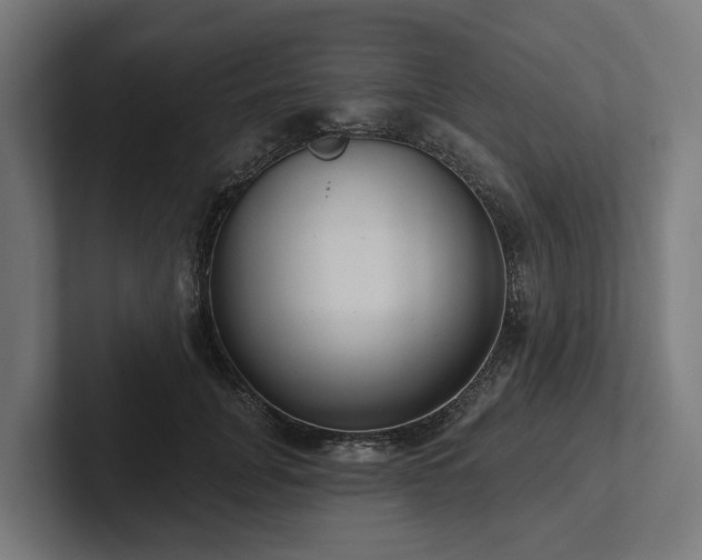 X0000102360751200808011452