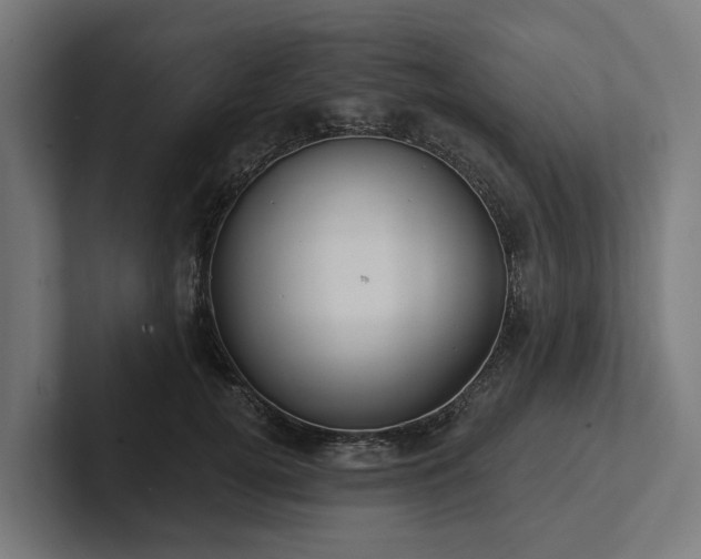 X0000102360752200808011452