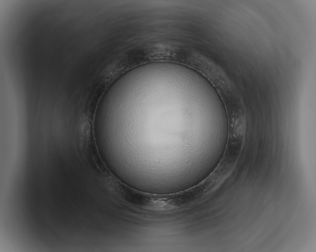 X0000102360753200808011452