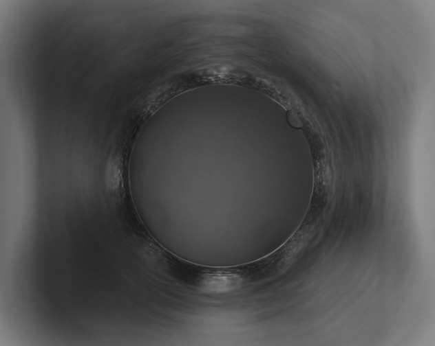 X0000102360754200808011452