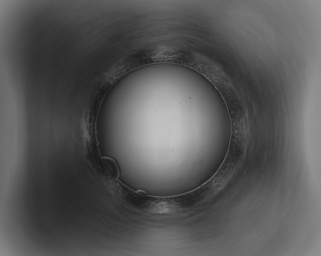 X0000102360755200808011452
