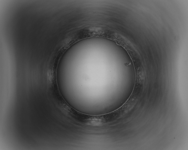 X0000102360756200808011452