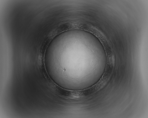 X0000102360757200808011452