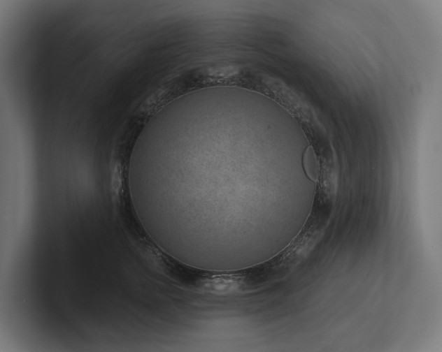 X0000102360758200808011452