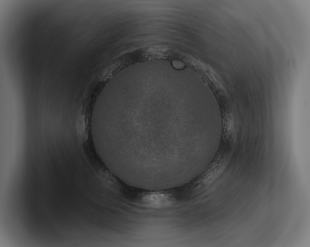 X0000102360759200808011452