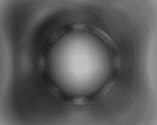X0000102360761200808011452