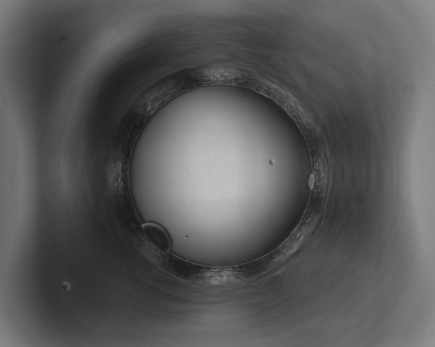 X0000102360762200808011452