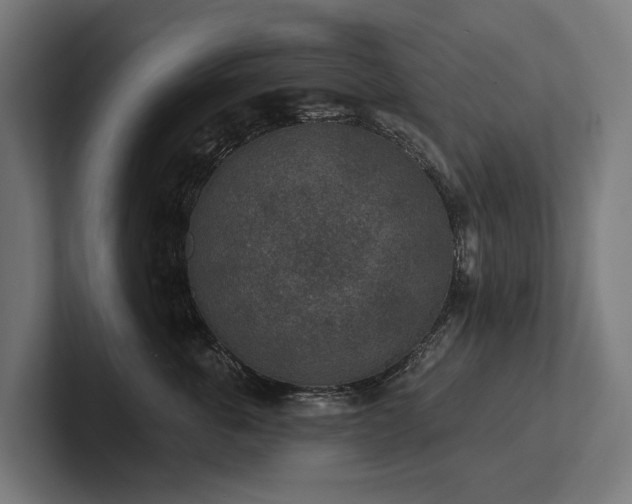 X0000102360763200808011452