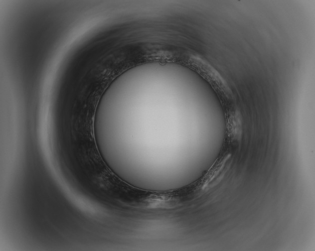 X0000102360764200808011452