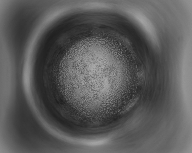 X0000102360765200808011452