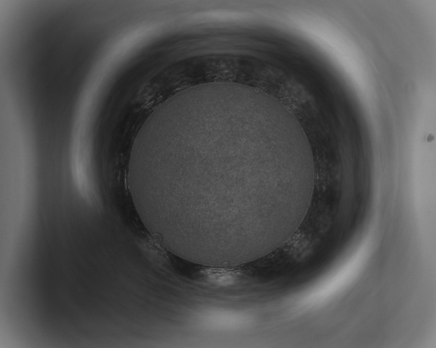 X0000102360766200808011452