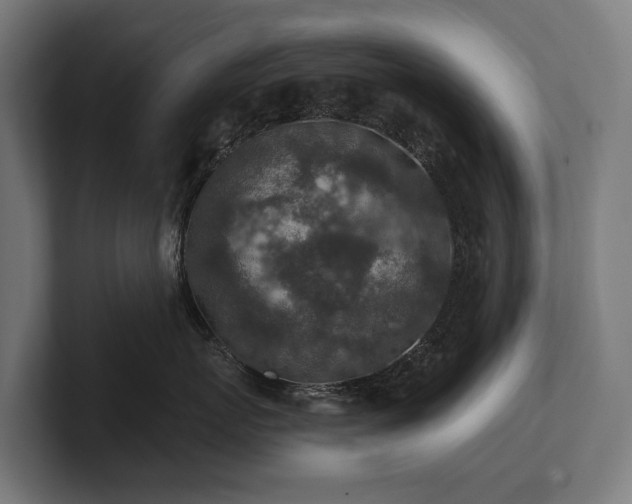 X0000102360767200808011452