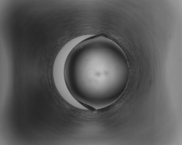 X0000102360768200808011452