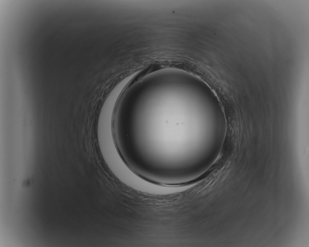 X0000102360769200808011452