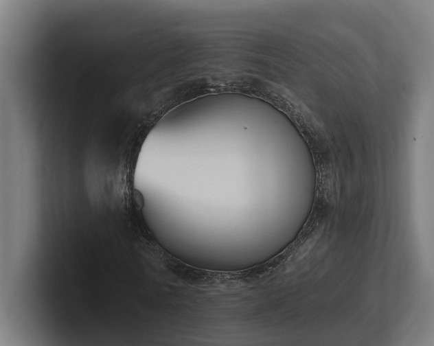 X0000102360770200808011452