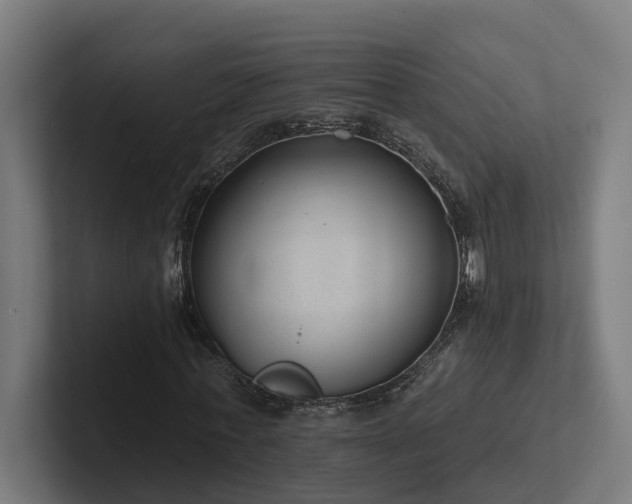 X0000102360771200808011452