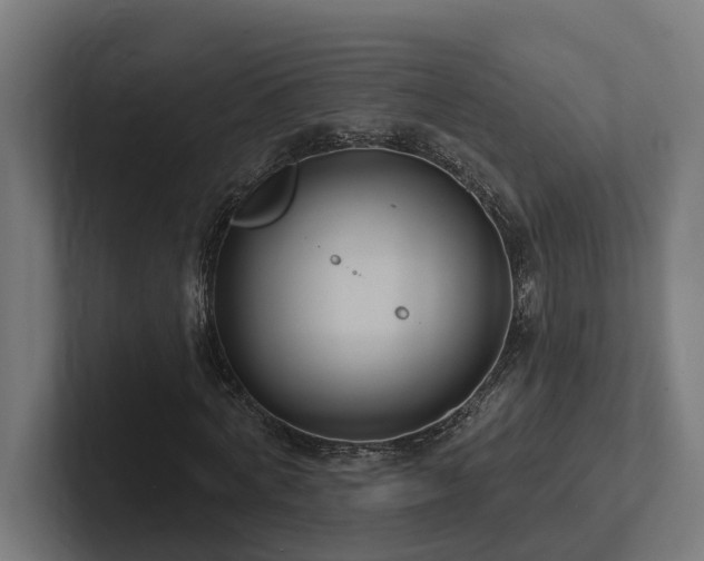 X0000102360772200808011451