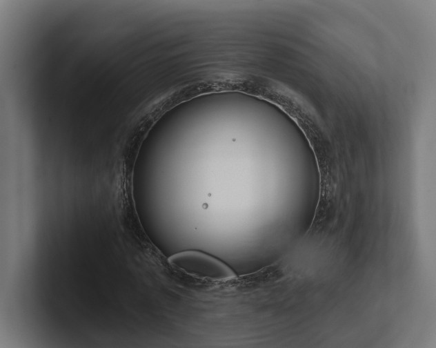 X0000102360773200808011451