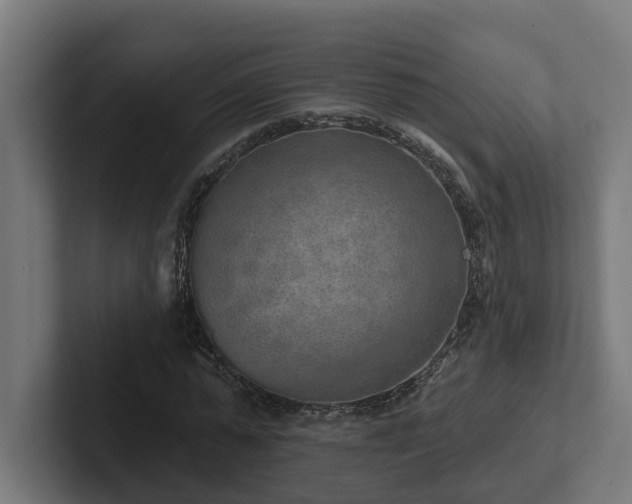 X0000102360775200808011451
