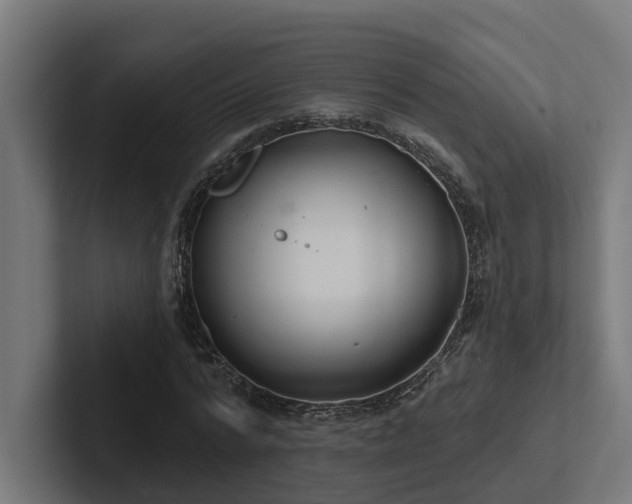 X0000102360776200808011451