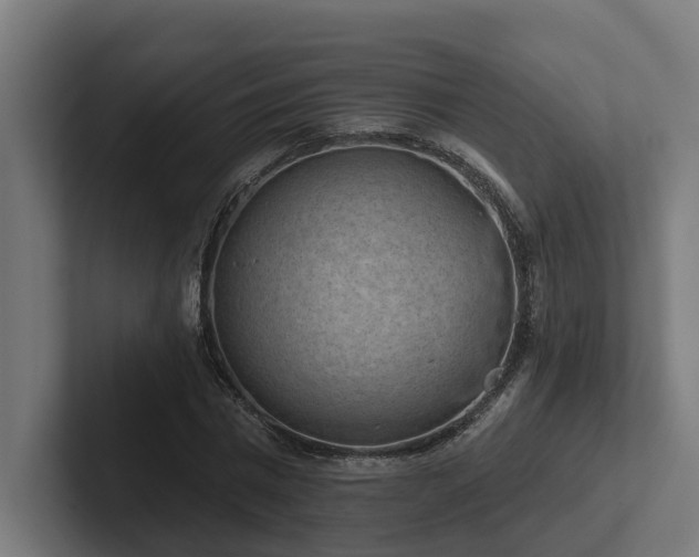 X0000102360777200808011451