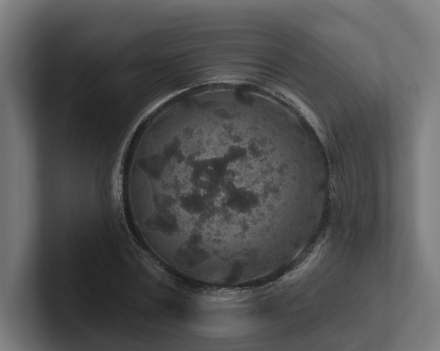 X0000102360779200808011451