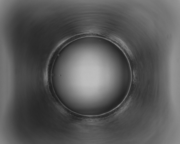 X0000102360780200808011451