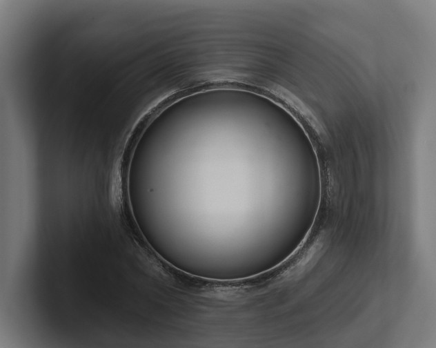X0000102360782200808011451