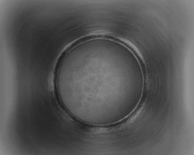 X0000102360783200808011451