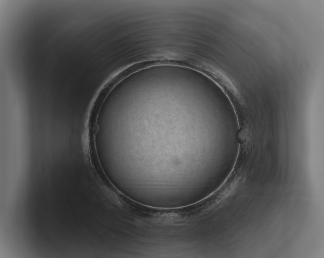 X0000102360784200808011451