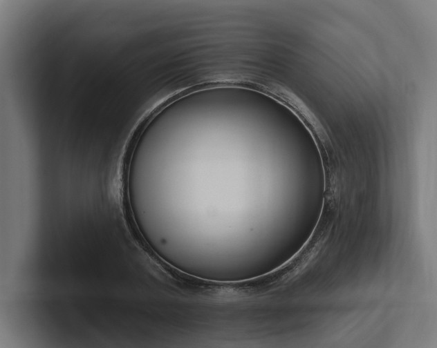X0000102360787200808011451