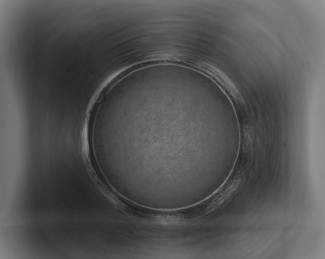 X0000102360788200808011451