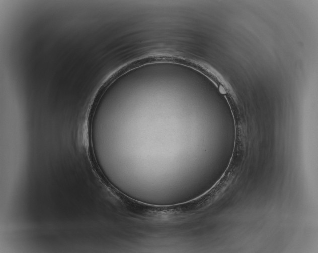 X0000102360791200808011451