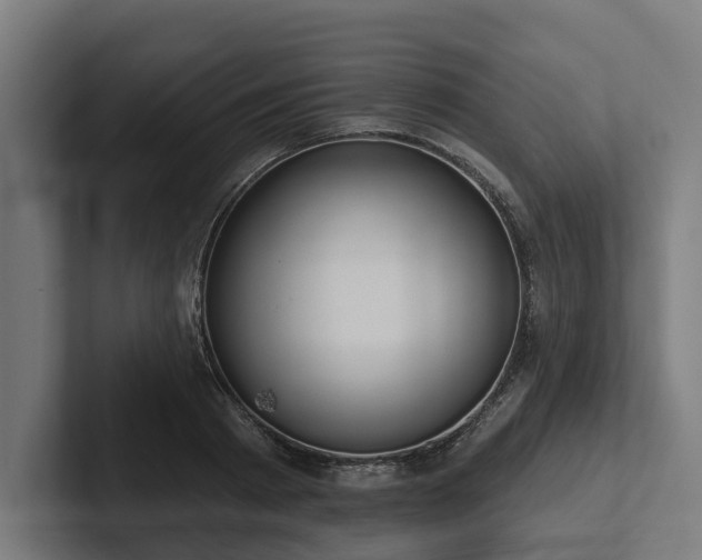 X0000102360793200808011451