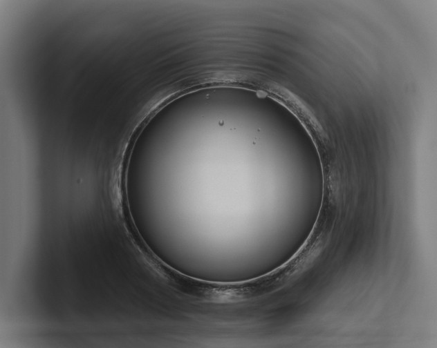 X0000102360794200808011451