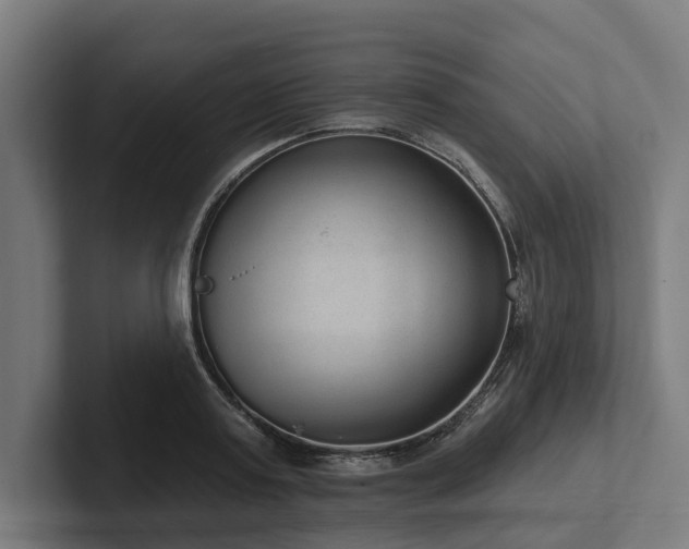 X0000102360795200808011451