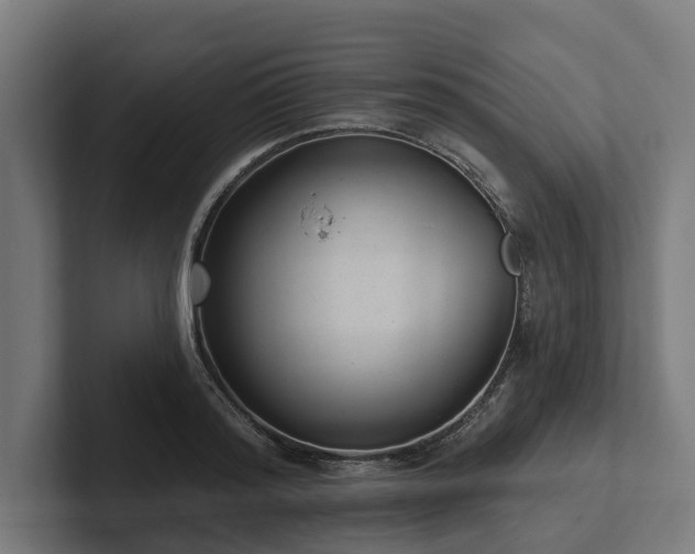 X0000102360796200808011451