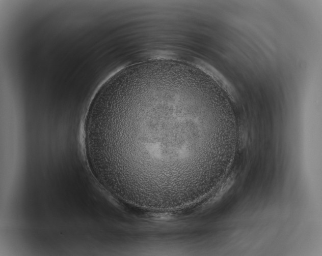 X0000102360798200808011451