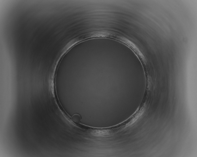 X0000102360802200808011451