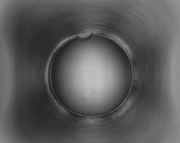 X0000102360803200808011451