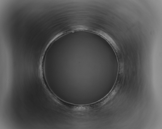 X0000102360806200808011451
