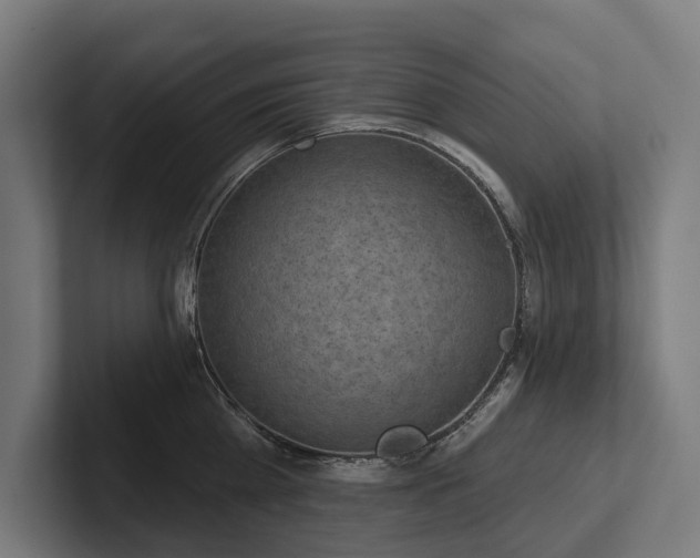 X0000102360809200808011451