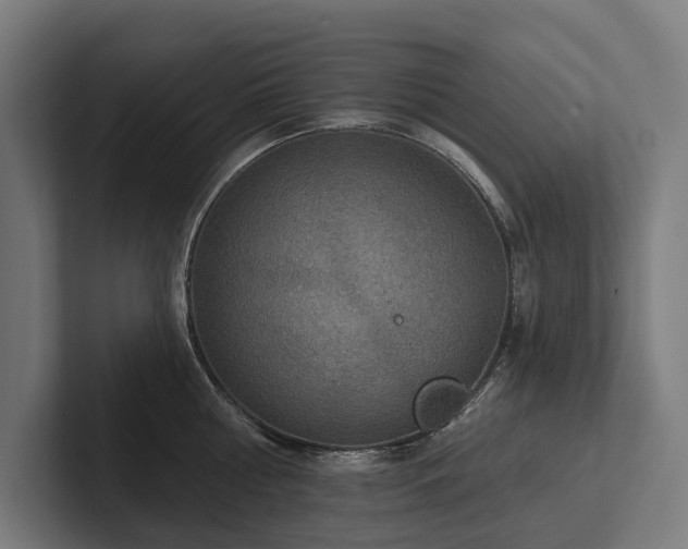 X0000102360810200808011451