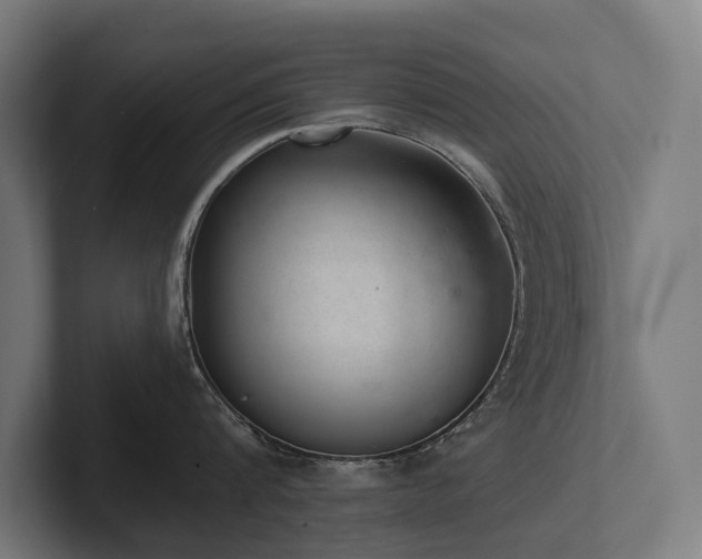X0000102360816200808011451