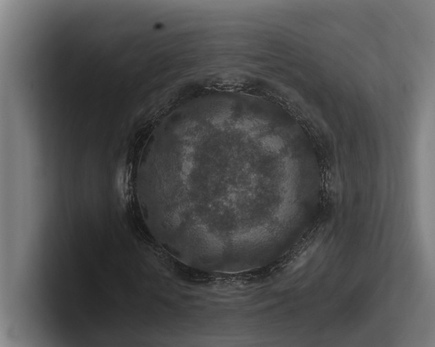X0000102360818200808011450